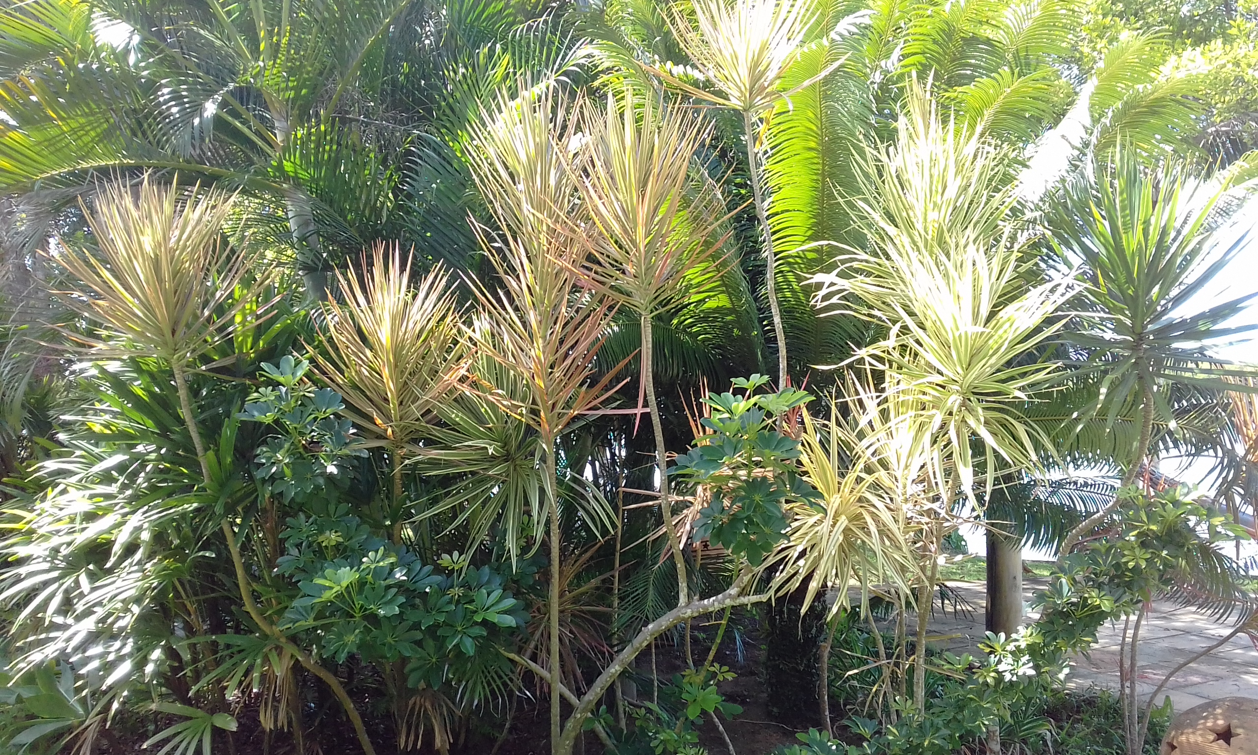 20170422_102742