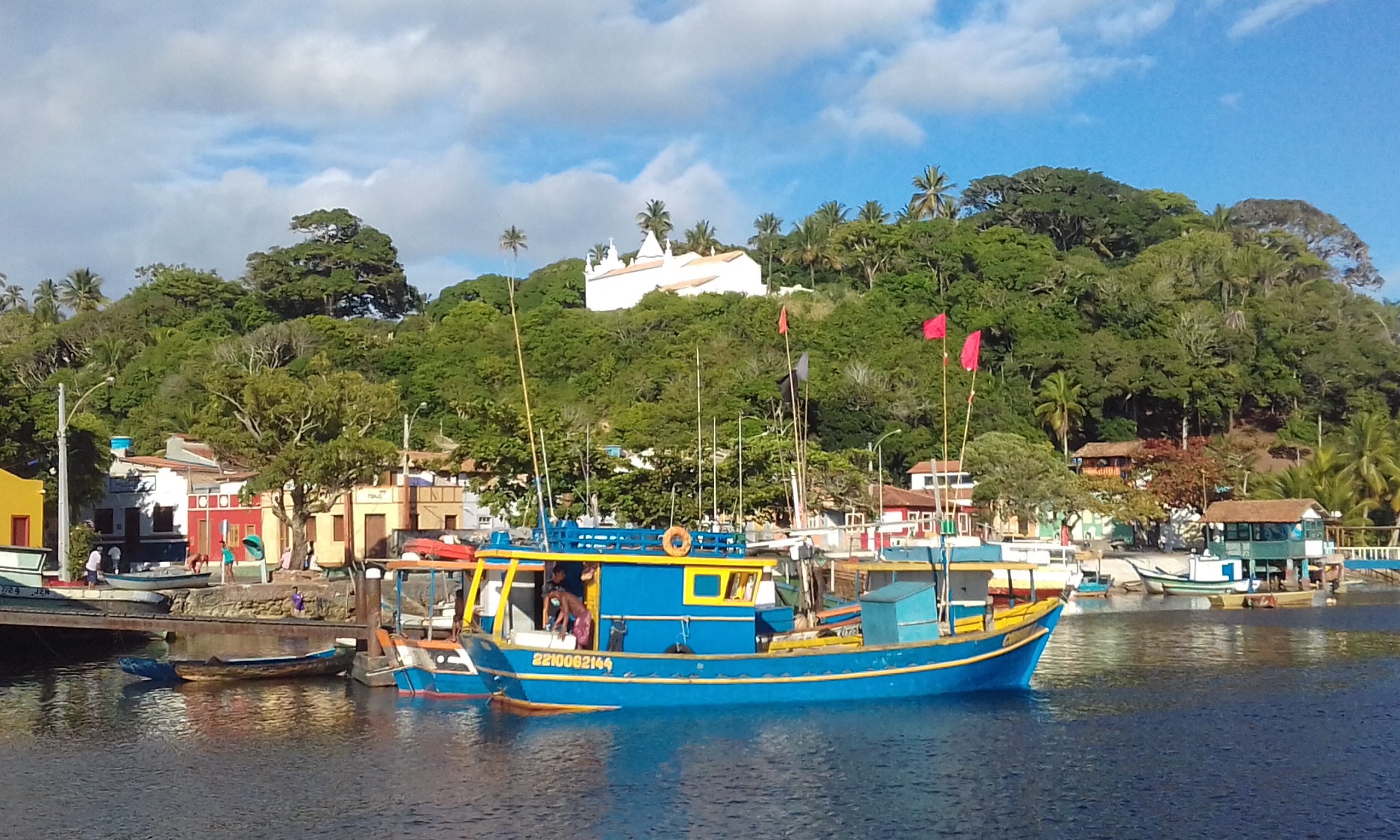 cabralia2