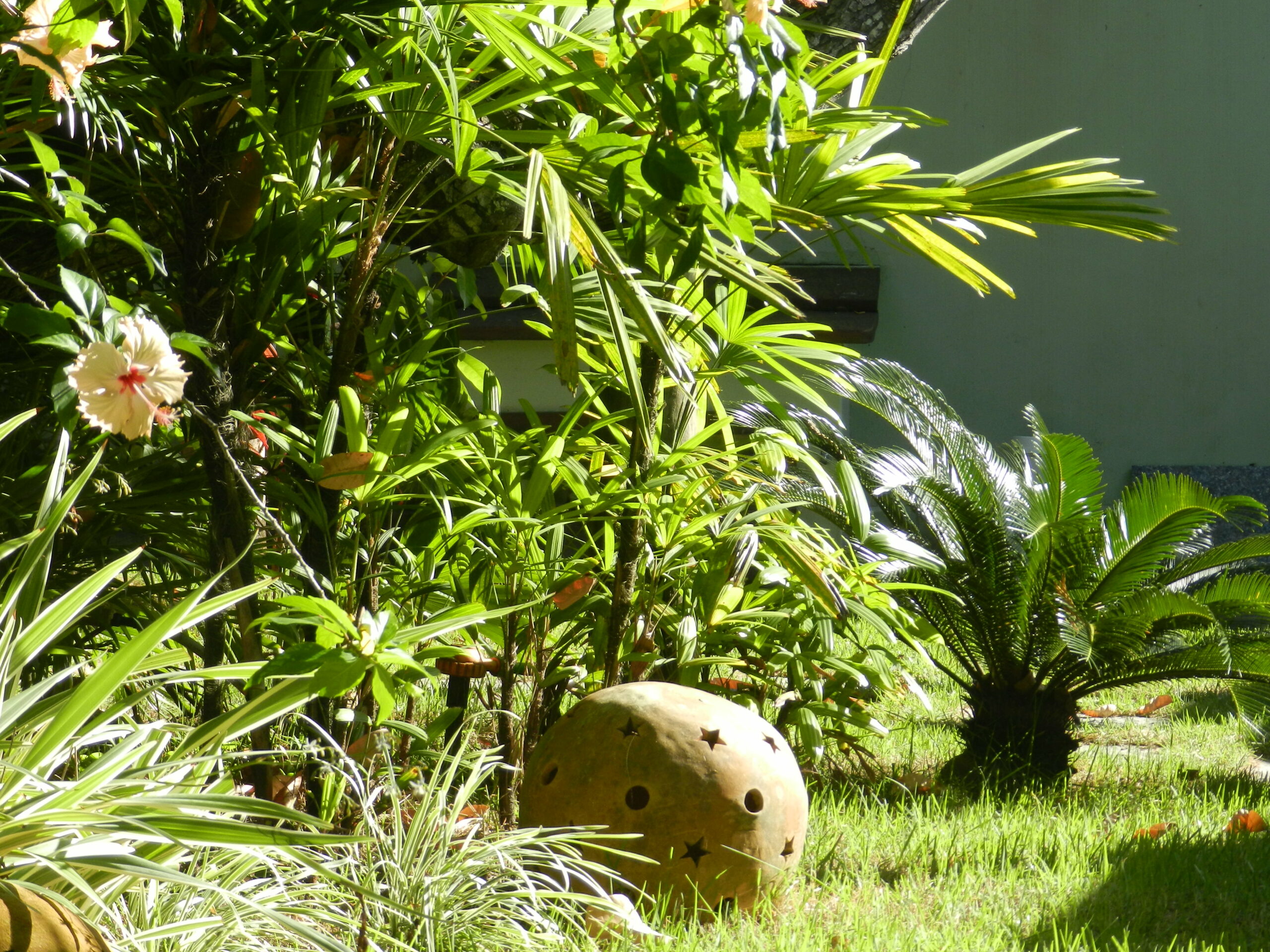 entree jardin
