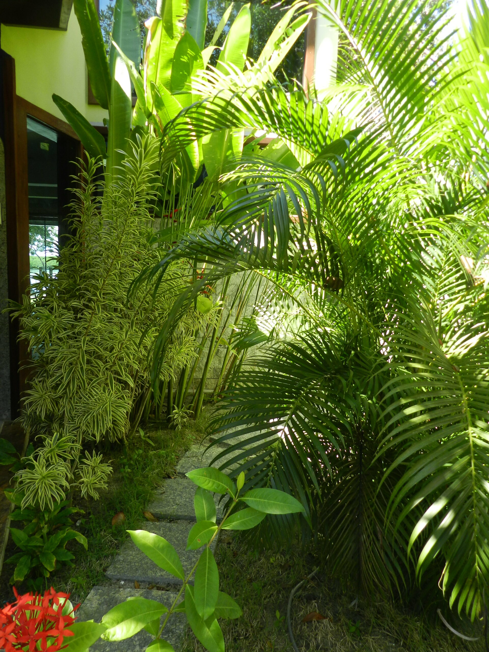 passage suite paraiso